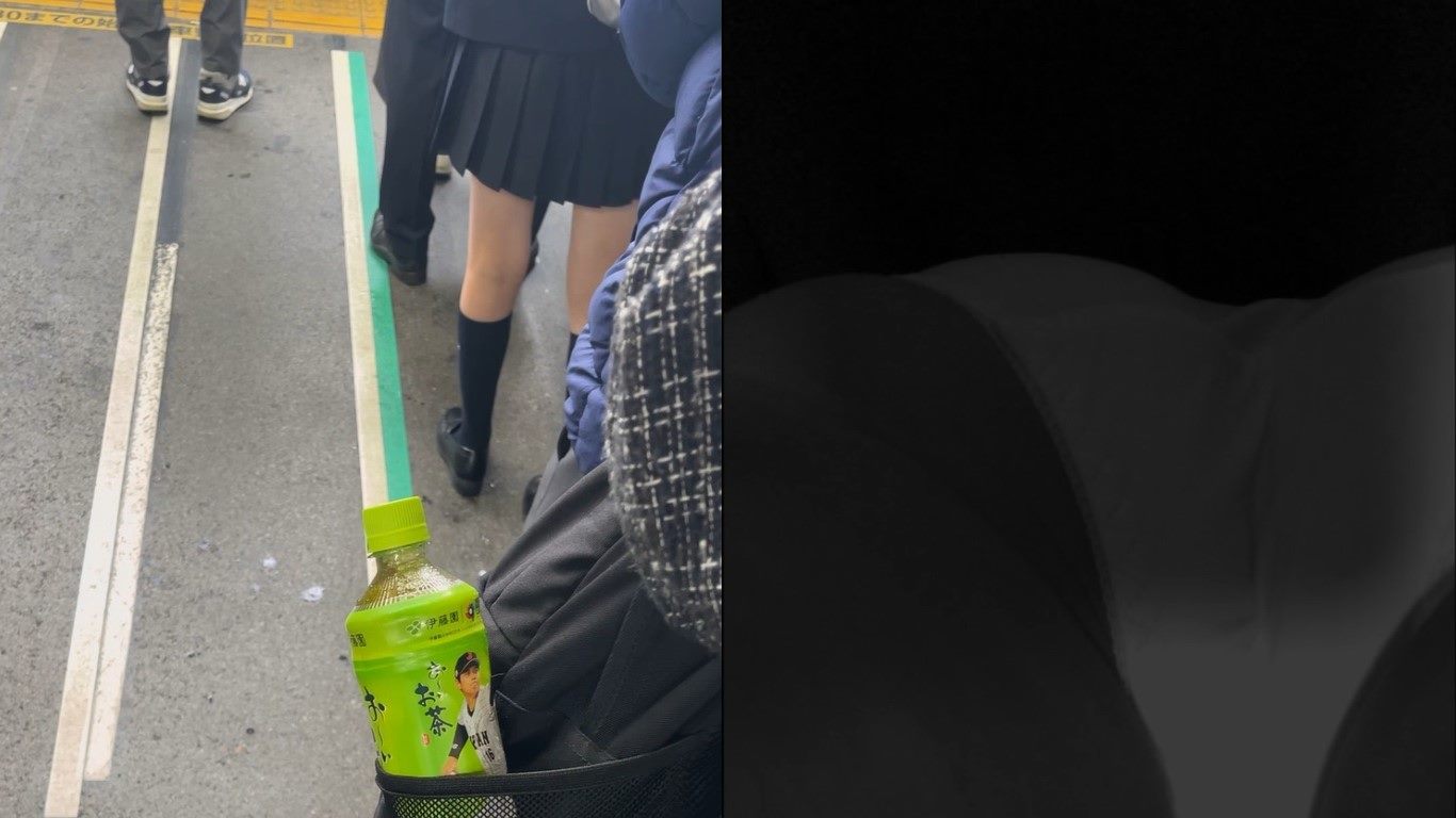 素人プレイ日記 電車×パンチラ