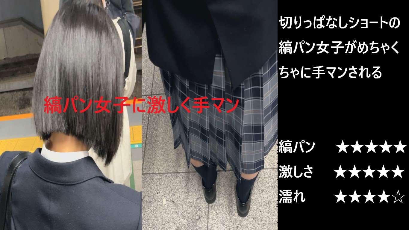 シン・お触り紳士「混雑する事で有名な某路線」