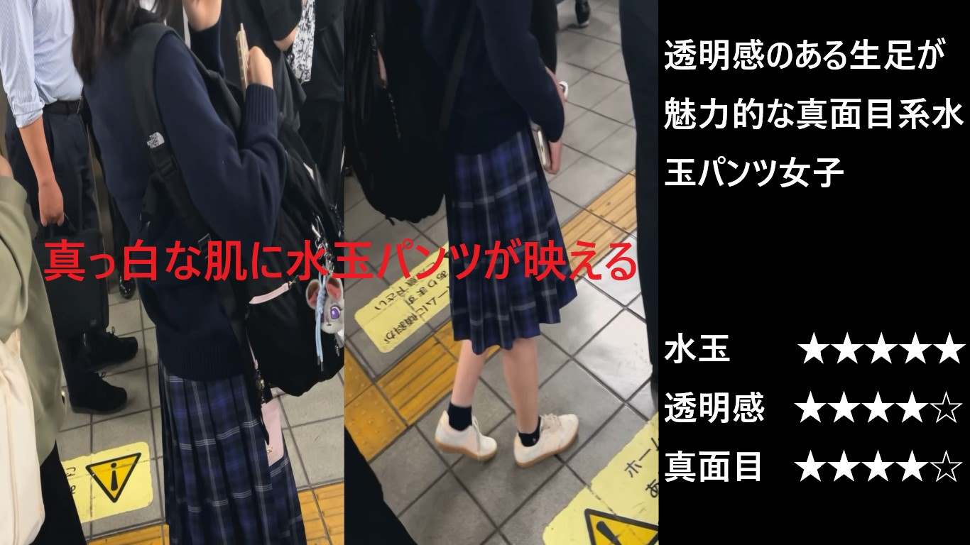 シン・お触り紳士「混雑する事で有名な某路線」