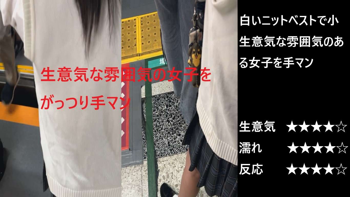シン・お触り紳士「混雑する事で有名な某路線」