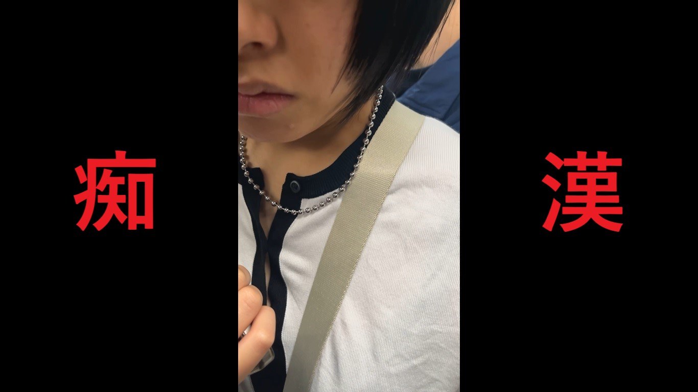 日本の車窓から「通勤・通学ラッシュの現状をお伝えする健全なチャンネル」