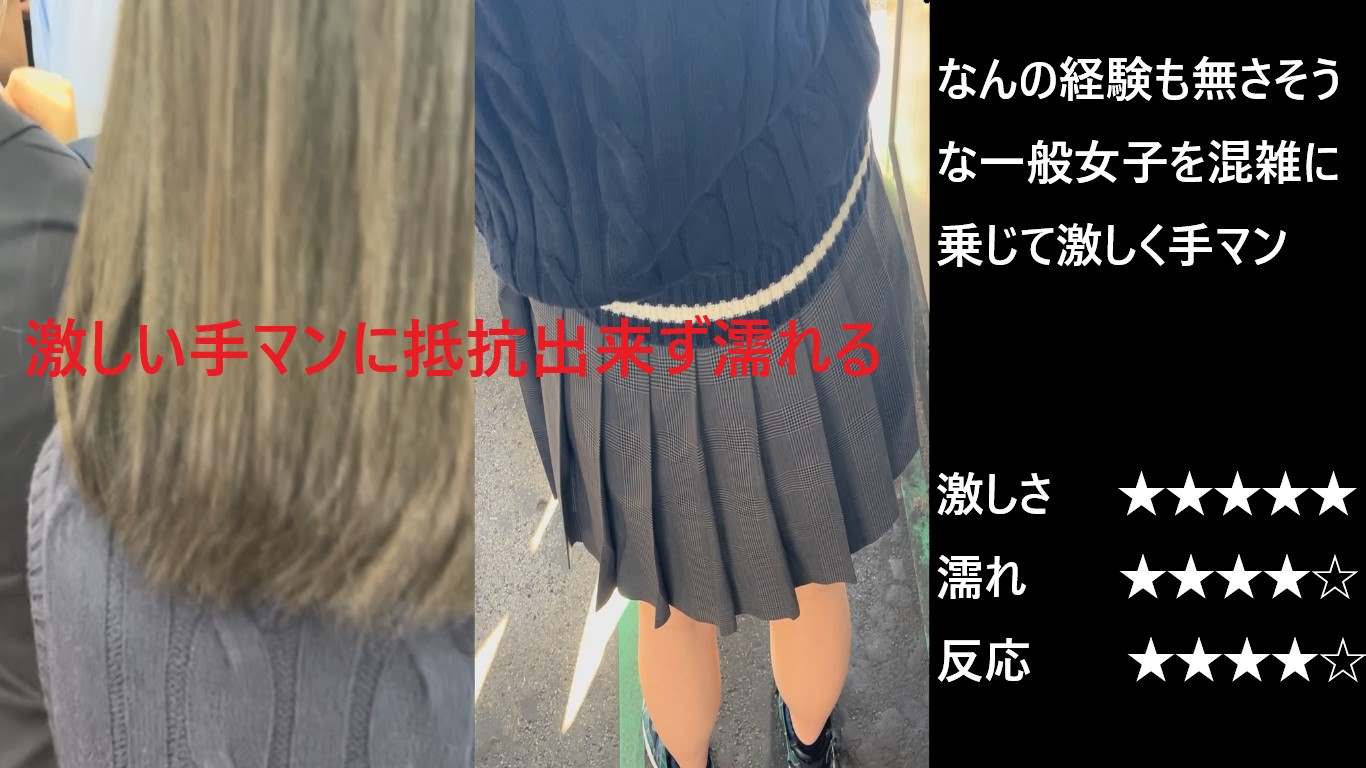 シン・お触り紳士「混雑する事で有名な某路線」
