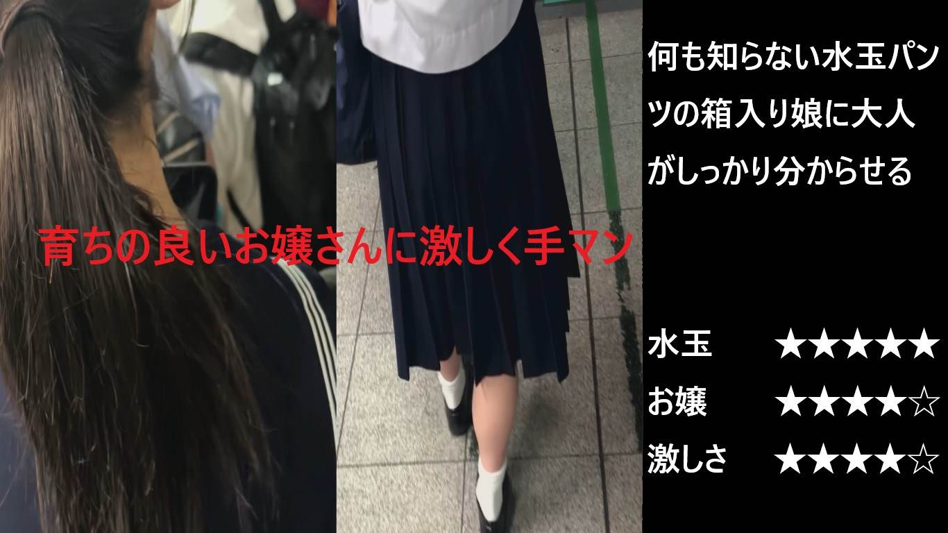 シン・お触り紳士「混雑する事で有名な某路線」