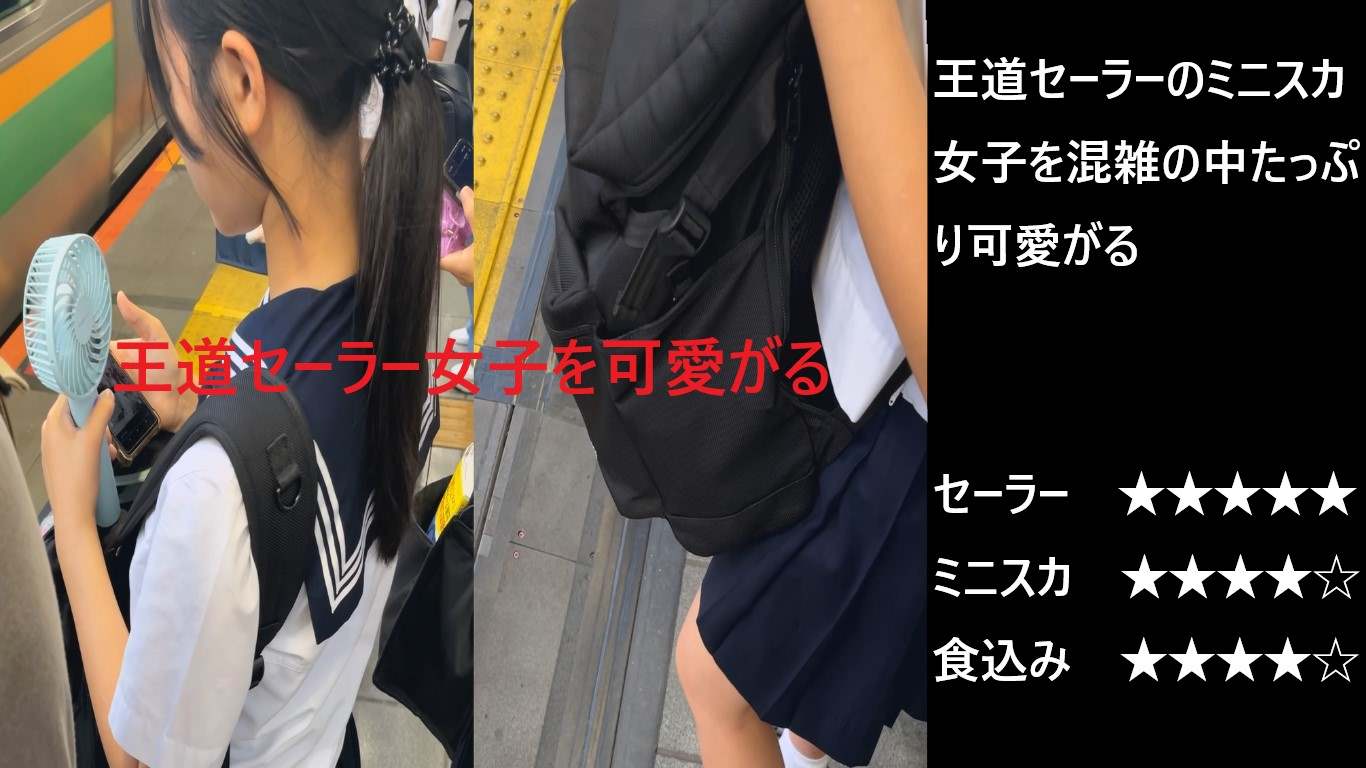シン・お触り紳士「混雑する事で有名な某路線」