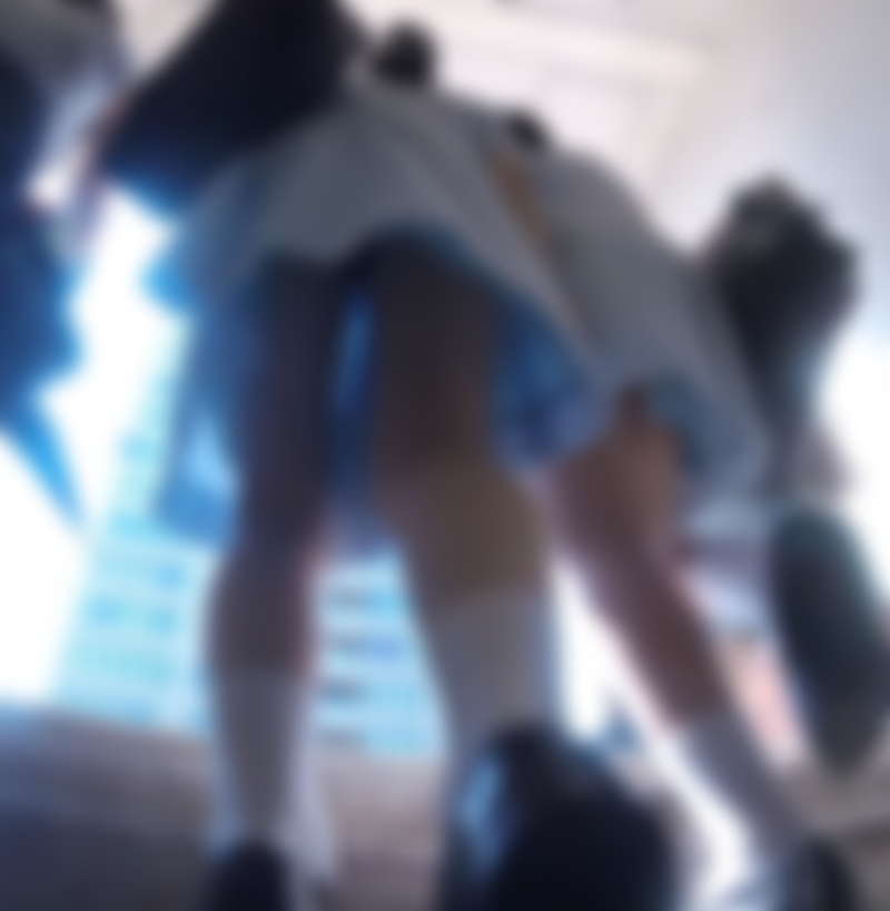 VかかしV「MP4動画：2分45秒程」