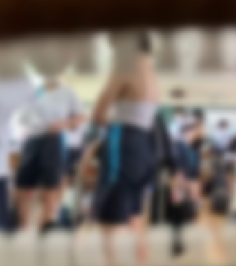 VかかしV「MP4動画：5分46秒程」