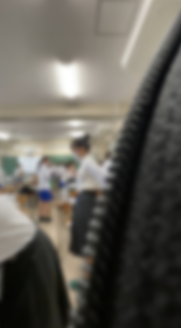 VかかしV「MP4動画：3分24秒程」