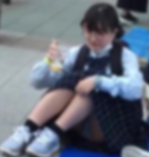 VかかしV「MP4動画：5分45秒程」