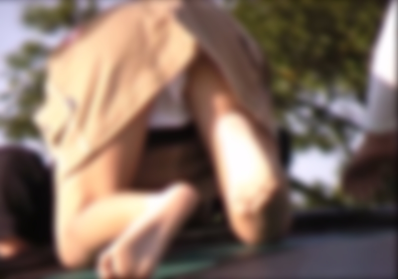 VかかしV「MP4動画：3分25秒程」