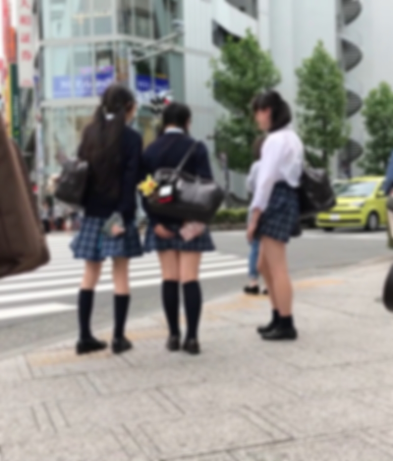 VかかしV「MP4動画：1分26秒程」