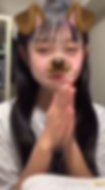 VかかしV「MP4動画：12分程」