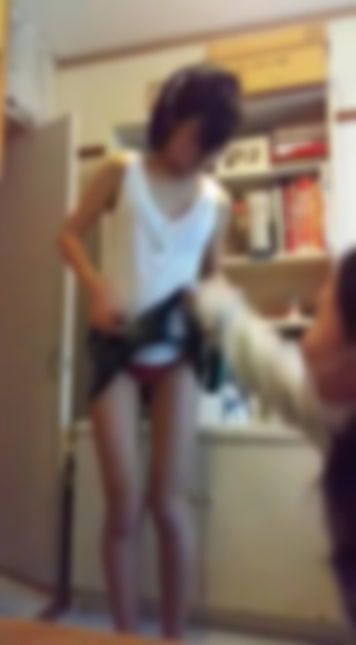 VかかしV「MP4動画：10秒程」