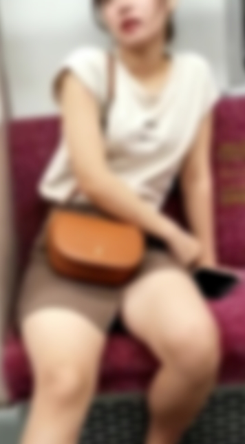 VかかしV「MP4動画：4分程」