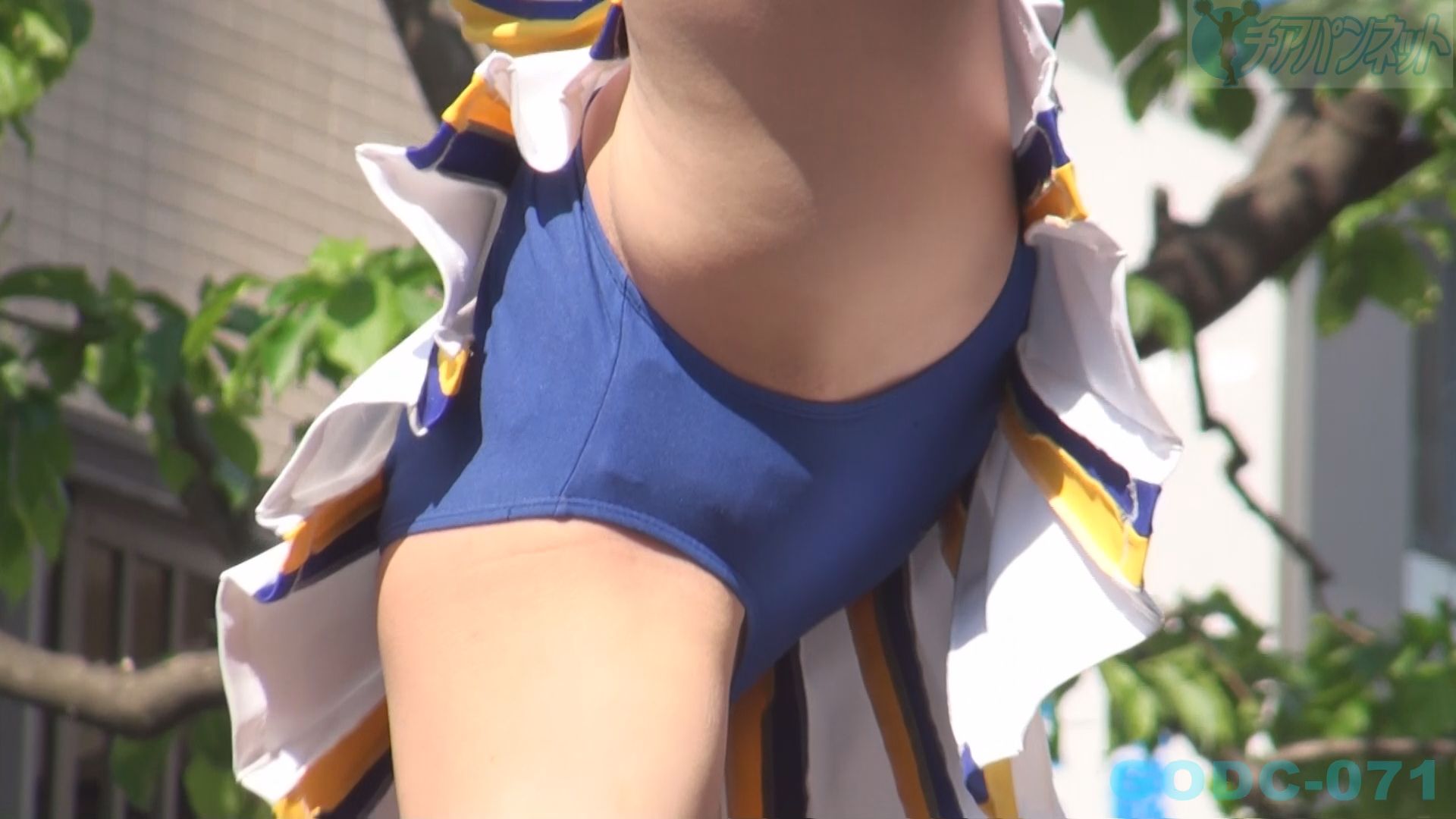 チアパンネット「※こちらの商品は再販商品となります」