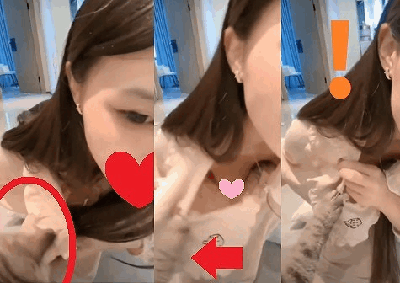 疾風のハヤテ【いたずら】