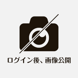 しなもん【パンチラ】