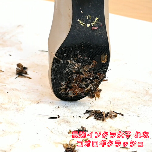 脆く儚いものたち【フェチ：脚】