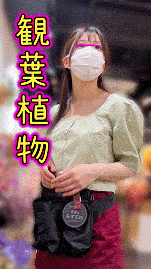 ドドメ「こんにちは店員の胸ちら撮ってます」